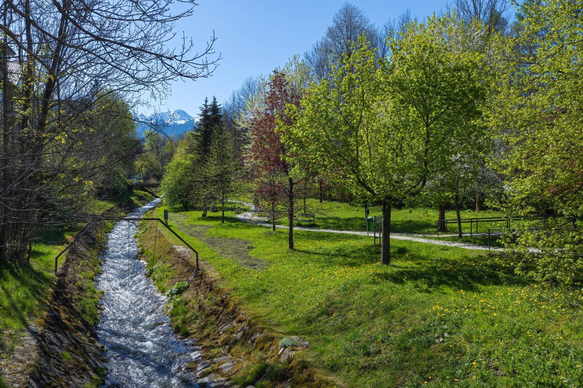 Rent Like Home - Sienkiewicza Zakopane Exterior photo